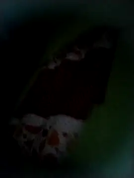 safado0027 online show from November 2025 08:34:02 AM