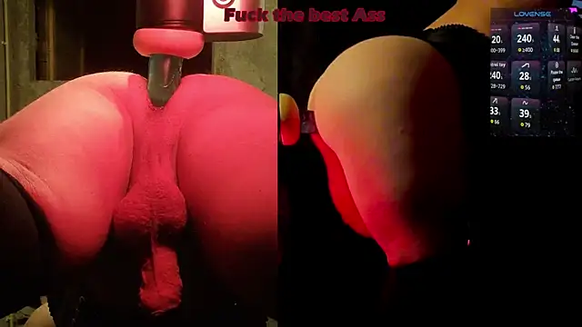 littledreamstar online show from July 2026 02:48:01 PM