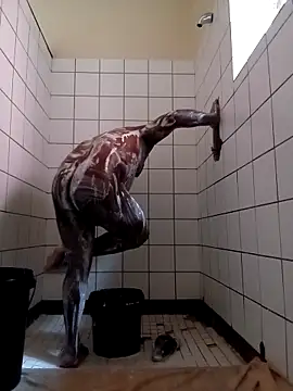 Dube501 online show from April 2026 10:46:01 AM