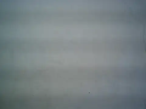Snapshot of michel1520 chatting on June 2026 07:50:02 AM michel1520 online show from June 2026 07:50:02 AM