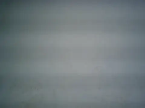 Snapshot of michel1520 chatting on July 2026 03:23:01 AM michel1520 online show from July 2026 03:23:01 AM