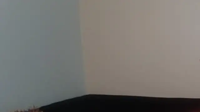 Snapshot of hairyncuteass chatting on February 2025 08:24:01 PM hairyncuteass online show from February 2025 08:24:01 PM