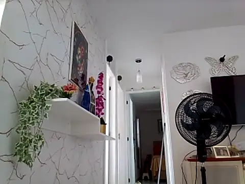 Munnoki online show from March 2026 03:29:01 PM