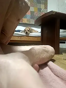 Bisexualhard23 online show from January 2026 12:58:02 AM