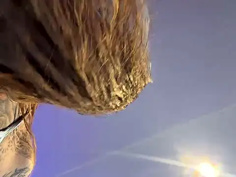 Black sweet Rose online show from March 2026 05:18:02 PM