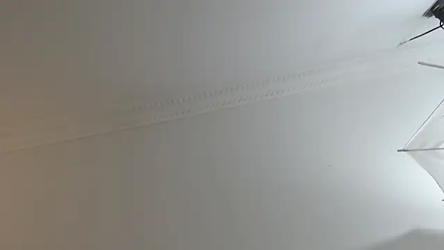 BrandonColee online show from February 2025 12:29:01 PM