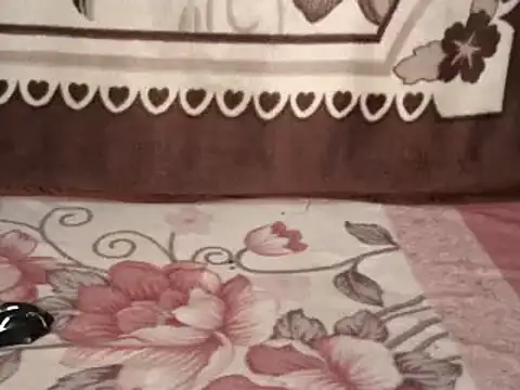 Snapshot of SWEETCANDY111 chatting on February 2025 10:36:02 AM SWEETCANDY111 online show from February 2025 10:36:02 AM
