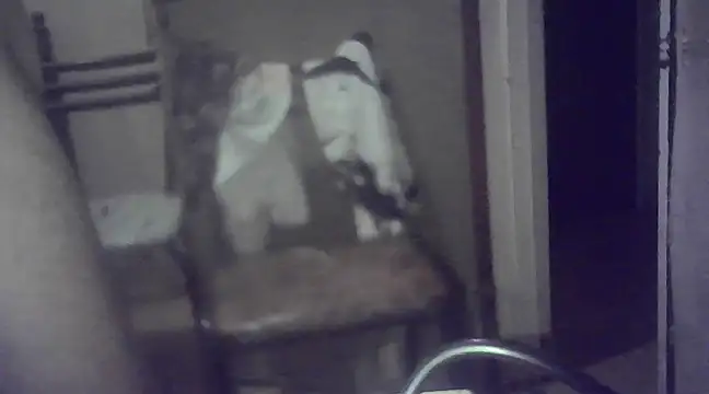 Snapshot of EstebanAkyLu chatting on January 2025 07:53:01 AM EstebanAkyLu online show from January 2025 07:53:01 AM