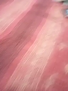 bdmaksuda1 online show from March 2025 04:07:02 PM