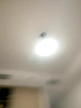 SexySophiaax online show from October 2025 01:00:02 PM