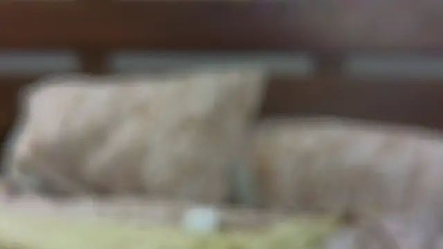 SallyCha online show from February 2025 12:15:02 AM