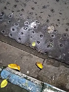 Raj41 online show from September 2025 01:45:01 PM