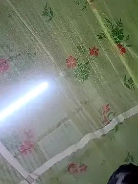 Raj41 online show from November 2025 11:52:01 PM