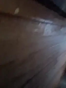 Raj41 online show from January 2026 12:58:01 AM