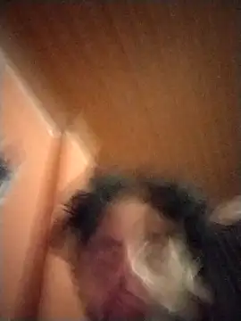 Nooneisthis online show from February 2025 07:20:01 AM