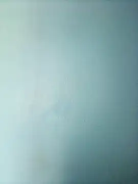 randit7 online show from March 2025 06:35:02 AM