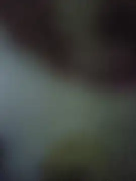 randit7 online show from November 2025 04:22:02 AM