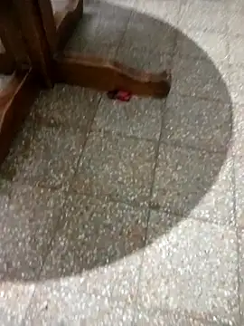 parejarica420 online show from March 2026 08:38:01 PM