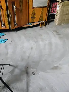 birds0641 online show from April 2026 06:17:02 PM