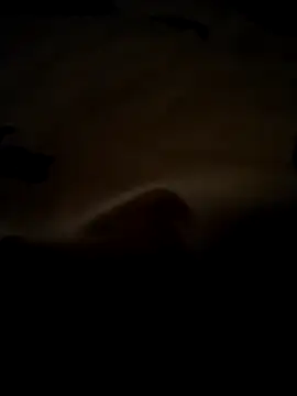 baojai01 online show from March 2026 12:01:02 PM