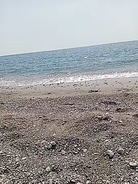 Snapshot of NAvoglia chatting on July 2026 01:28:01 PM NAvoglia online show from July 2026 01:28:01 PM