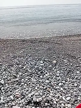 Snapshot of NAvoglia chatting on July 2026 01:46:02 PM NAvoglia online show from July 2026 01:46:02 PM