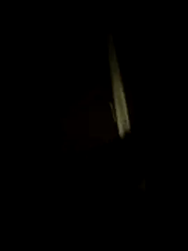 dominationmybigdick online show from July 2026 10:47:02 PM
