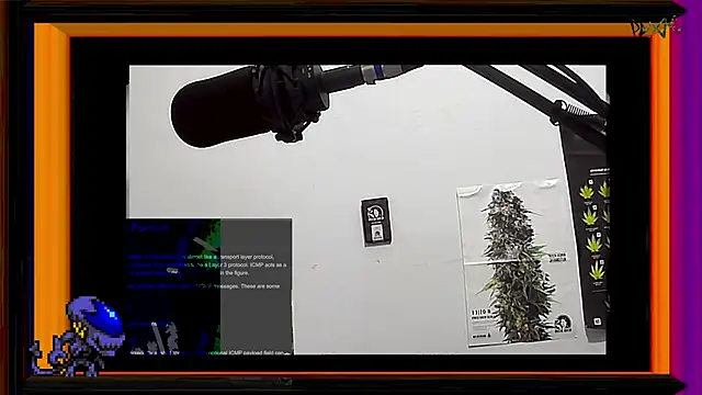 ReyDeBotones online show from March 2025 11:38:02 PM