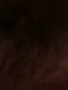 onlyhill online show from March 2025 11:49:02 AM