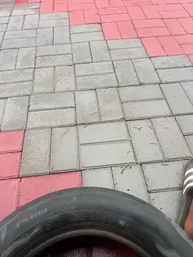 OneWhoBringsJoy online show from December 2025 01:07:01 PM