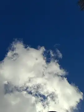 Snapshot of Emily_homegirl chatting on March 2025 06:33:02 AM Emily homegirl online show from March 2025 06:33:02 AM