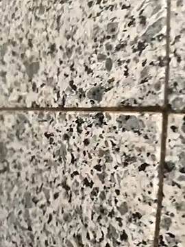 henri69 online show from February 2026 02:42:01 AM