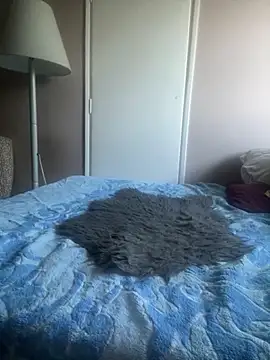 Budibudi5 online show from October 2025 06:01:01 AM