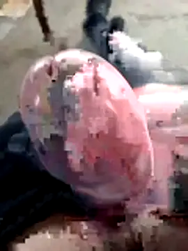 mar4oto1 online show from March 2026 11:37:01 AM