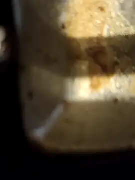 Snapshot of Loly2025 chatting on February 2025 02:35:02 PM Loly2025 online show from February 2025 02:35:02 PM