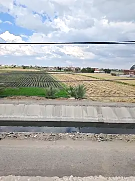 Loly2025 online show from April 2026 01:22:01 PM