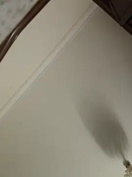 Loly2025 online show from April 2026 01:16:02 AM