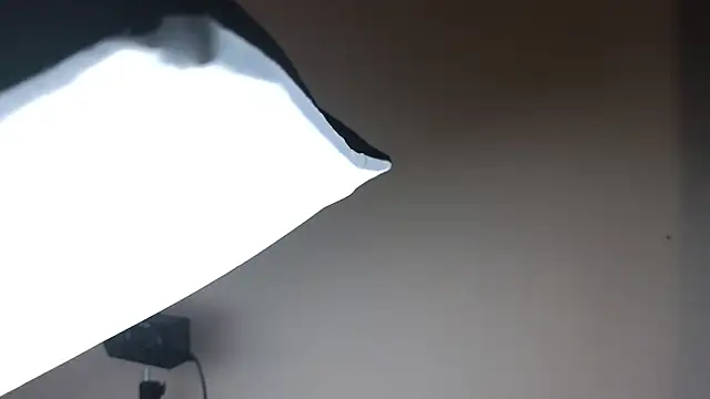 Snapshot of Sandra_Snowflake chatting on November 2025 03:50:02 AM Sandra Snowflake online show from November 2025 03:50:02 AM