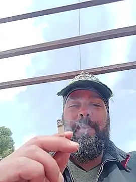 serpensy online show from April 2026 08:28:02 AM