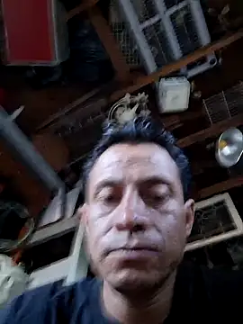salchichon 69 online show from May 2026 02:32:02 PM