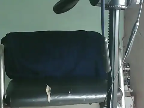 Snapshot of PreetyKitten chatting on November 2025 01:55:01 PM PreetyKitten online show from November 2025 01:55:01 PM