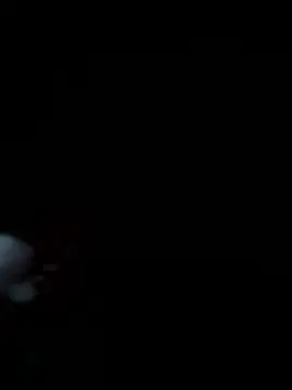 bkardashian online show from January 2026 03:42:02 AM