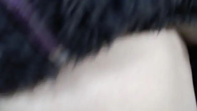 amy royale online show from March 2025 05:31:01 AM