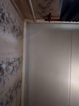 Snapshot of AliniX chatting on March 2026 10:23:01 AM AliniX online show from March 2026 10:23:01 AM