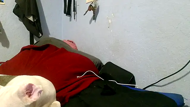 PornStro921 online show from May 2026 04:02:01 PM