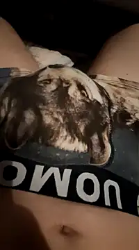 Snapshot of imre200270 chatting on March 2025 11:50:02 PM imre200270 online show from March 2025 11:50:02 PM