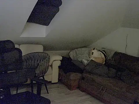 Snapshot of gryzoon chatting on October 2025 12:43:02 AM gryzoon online show from October 2025 12:43:02 AM