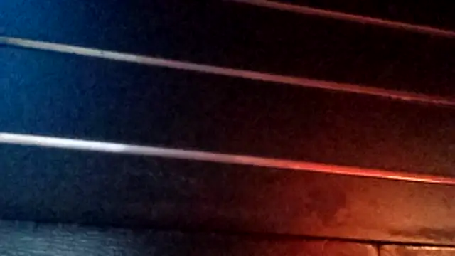 wetnwildforyou online show from October 2025 04:37:01 AM