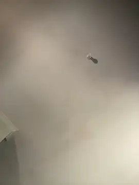 Snapshot of 1Zoey101 chatting on February 2026 01:37:02 AM 1Zoey101 online show from February 2026 01:37:02 AM