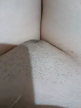 yakot7 online show from September 2025 12:58:02 AM